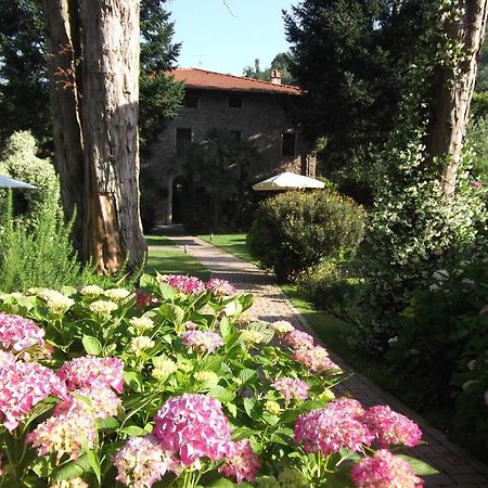 L'Arcadia Pensionat Pietrasanta Eksteriør billede