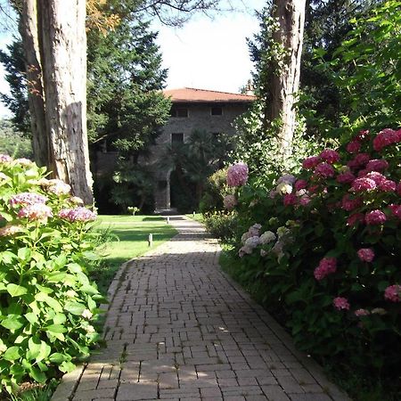 L'Arcadia Pensionat Pietrasanta Eksteriør billede