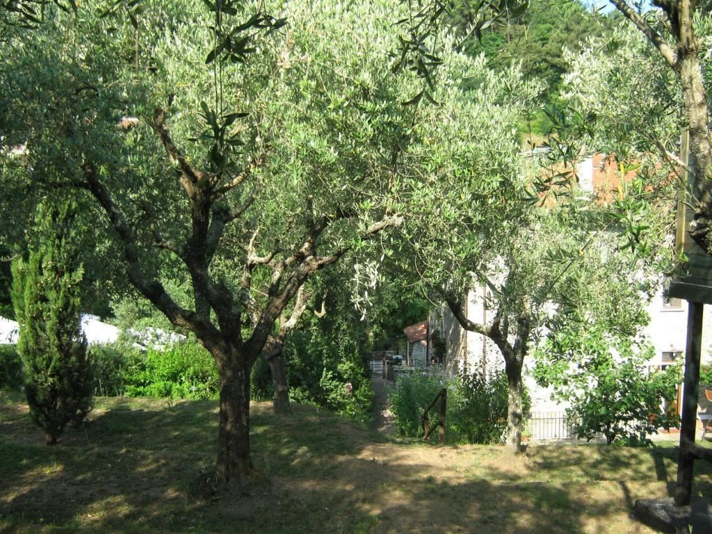 L'Arcadia Pensionat Pietrasanta Eksteriør billede