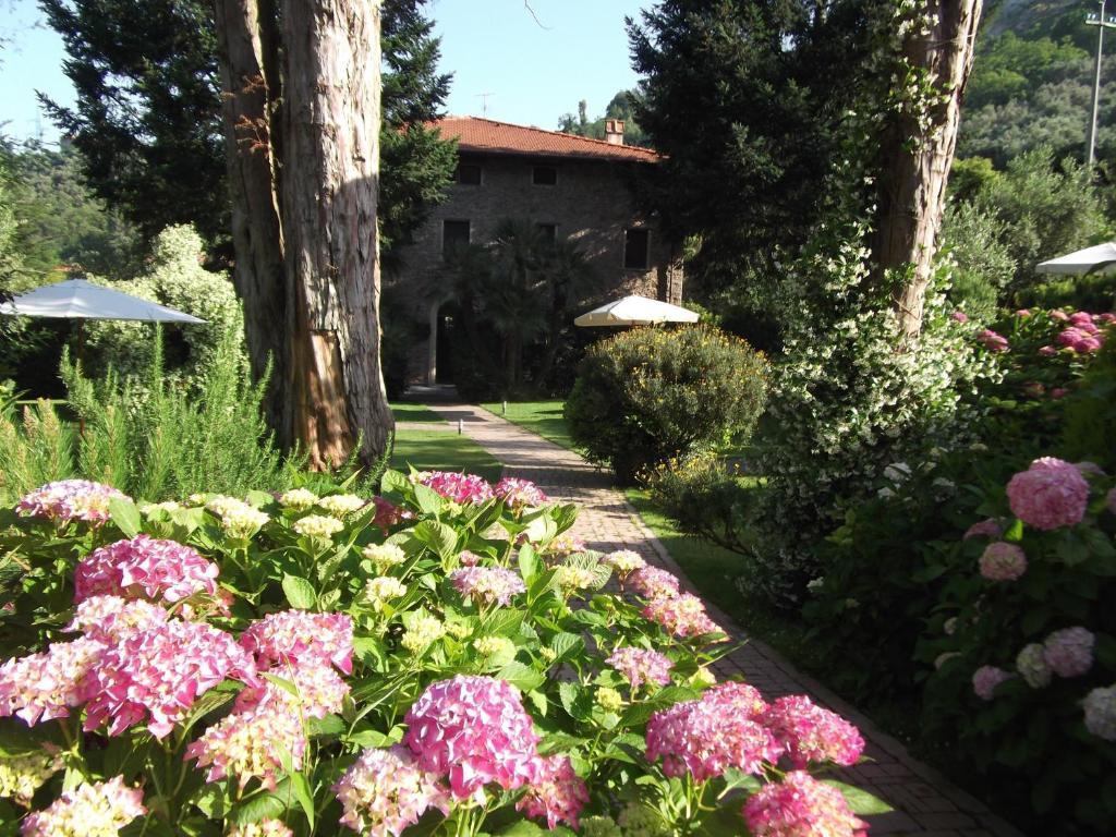 L'Arcadia Pensionat Pietrasanta Eksteriør billede