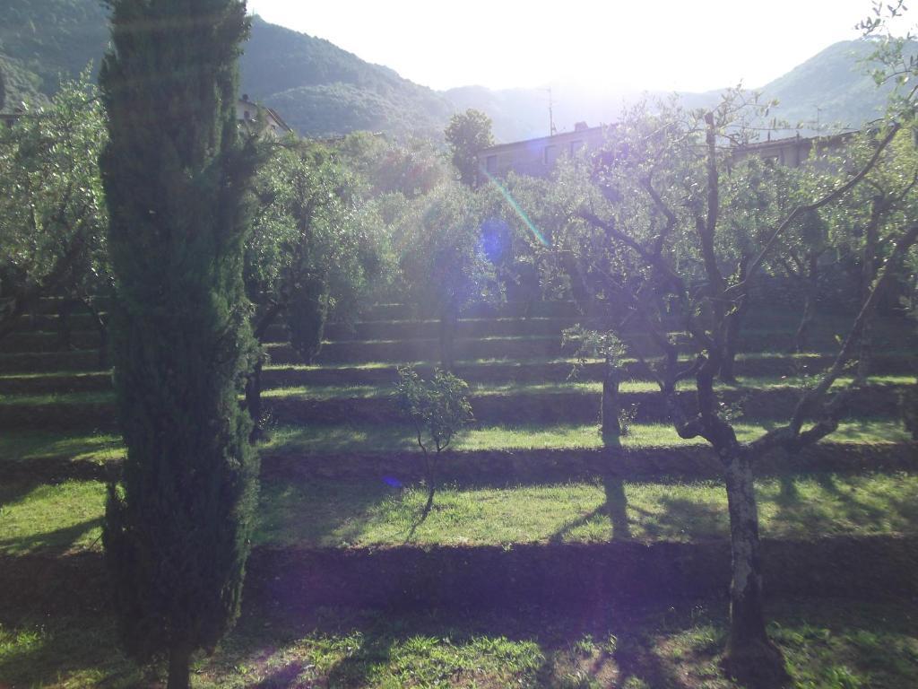 L'Arcadia Pensionat Pietrasanta Eksteriør billede